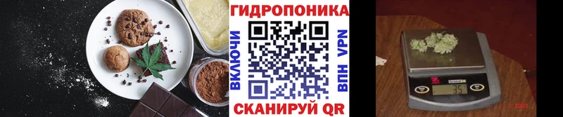 закладка  Котовск  Еда ТГК конопля 