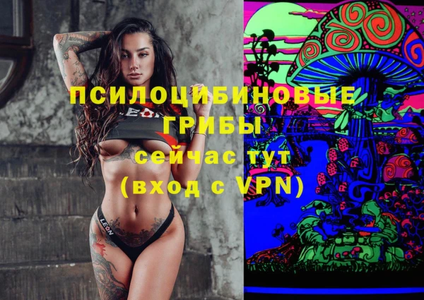 стаф Нефтекумск