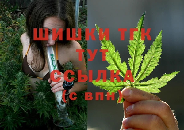 стаф Нефтекумск
