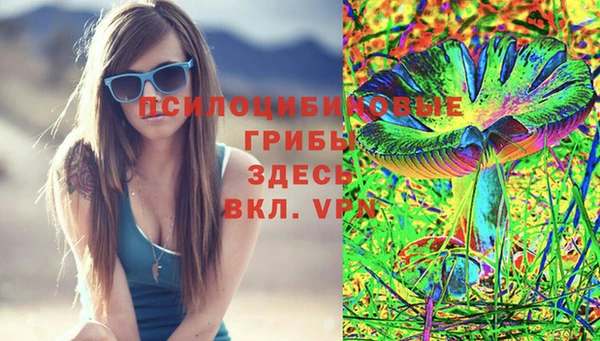 ECSTASY Новодвинск