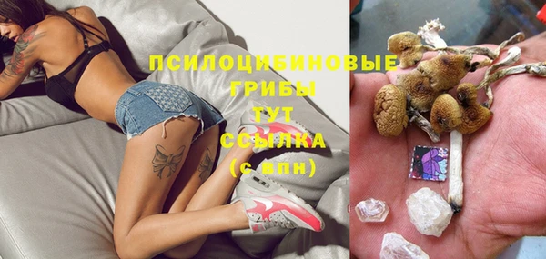 МДПВ Новозыбков