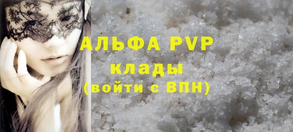 ECSTASY Новодвинск