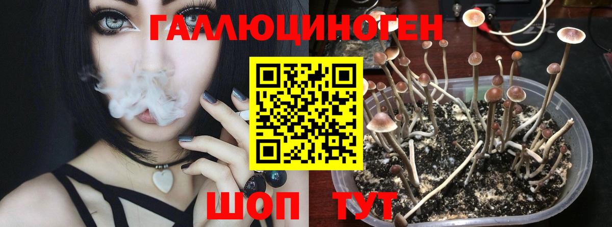 Котовск  Псилоцибиновые грибы ЛСД  Вход с VPN 