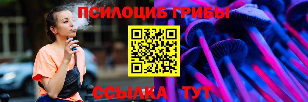 Галлюциногенные грибы Psilocybe Котовск